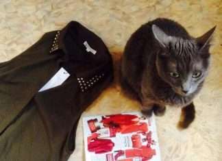 Цікаве від модератора, випуск № 11: Коли тварини позують краще, ніж ти