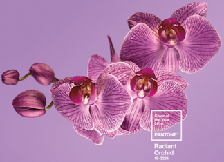 Готуємо шафа до літа: 5 найбільш модних кольорів сезону