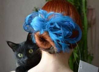 Чудеса модерації: бензопила, коти та приклади відмінних фотографій