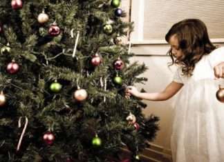 Новорічна красуня і її штучна сестра-близнюк