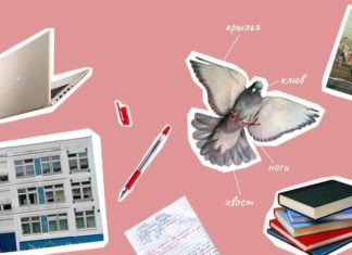 Навіщо сучасним школярам вивчати будову птахів, чому впав авторитет вчителів і варто тужити по радянському освіти.