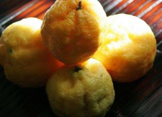 Юзу скоро заполонить полиці гіпермаркетів.