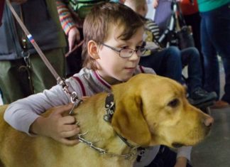 У Москві пройде виставка приютських тварин «Додому!».