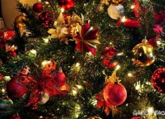 Казка про Ялинці.