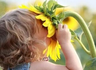 Укуси комах: як уберегти себе і що робити, якщо вжалили