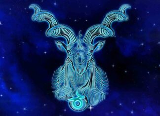Що чекає козерогів в рік щура: докладний гороскоп по всіх сферах життя