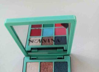 Norvina mini pro pigment palette vol.3 в парному флешмобі