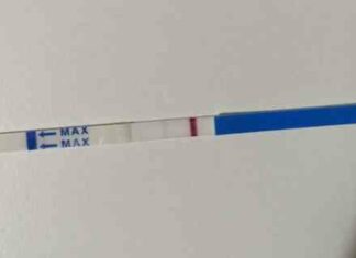 Тест, ниє живіт… 🙏