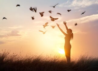 Исцеление от Травмы: Путь к Силе и Целостности