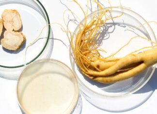 Тайны Корейского Женьшеня: Эликсир Красоты из Горных Лесов