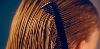 Стевія та відростання волосся: результати нового дослідження