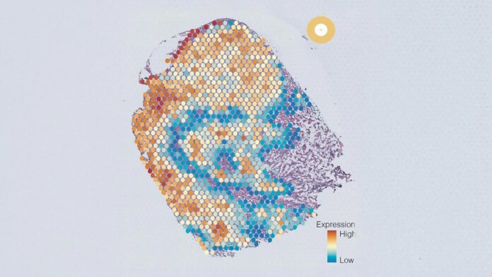 551604bd-999a-4e5d-a4d4-d808cf03e51d