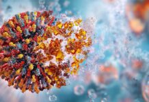 Прорив: «Супервакцина» повністю знищує рак у лабораторних тестах