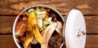 7 лучших кухонных компостеров 2026 года (протестировано и проверено)