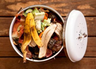 7 найкращих кухонних компостерів 2026 року (протестовано та перевірено)