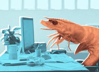Высокая цена «настольной креветки»: как сутулость вредит телу и мозгу